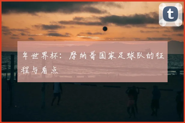 年世界杯：摩纳哥国家足球队的征程与看点