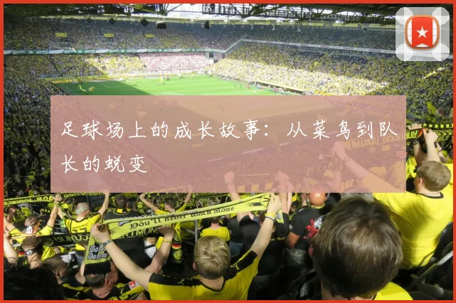 足球场上的成长故事:从菜鸟到队长的蜕变