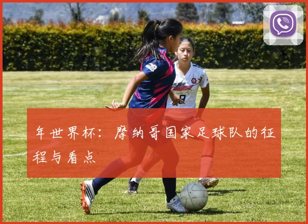 年世界杯:摩纳哥国家足球队的征程与看点