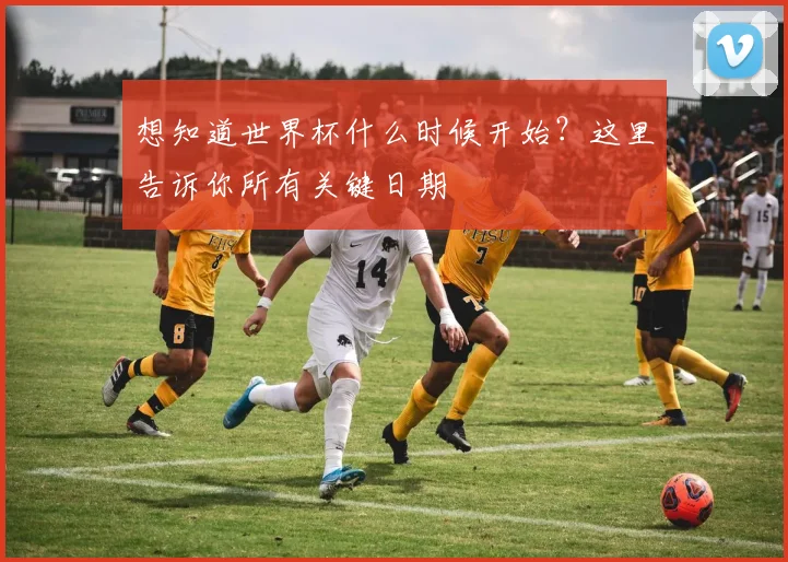 想知道世界杯什么时候开始?这里告诉你所有关键日期